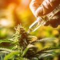 Targeted Pain Relief: A Comprehensive Guide for UK Cannabis Patients