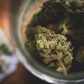 Understanding the Average Cost of Medical Cannabis