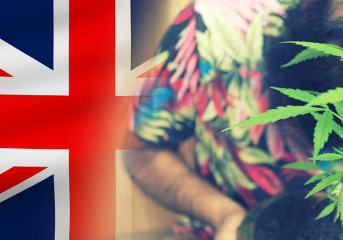 Possession and Cultivation Laws in the UK: A Comprehensive Overview of Cannabis Regulations